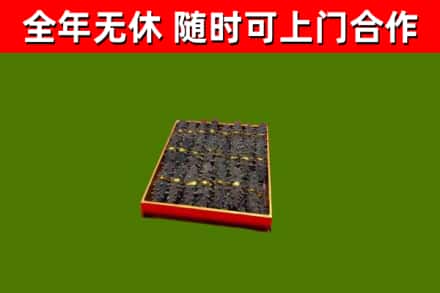 香坊回收海参